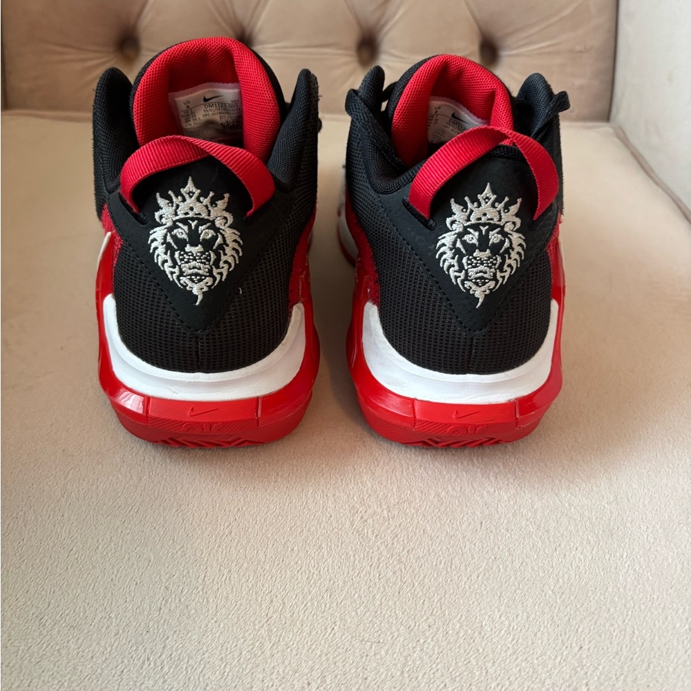 Nike LeBron basketball shoes- Barely worn